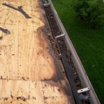 Damage to Roof Sheathing from Ice Damming